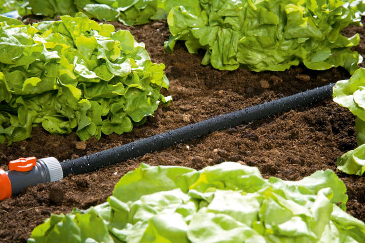 GARDENA Perl-Regner 15 m